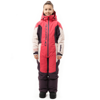 Dragonfly Зимний утепленный комбинезон Gravity Teenager Pink - Plum - Light Grey 2025 в Калиниграде