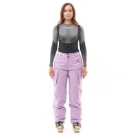 Dragonfly Штаны горнолыжные утепленные Gravity 2025 Woman Purple в Калиниграде
